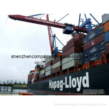 Ocean Shipping Sea Freight to Manzanillo/Puerto Cabello/Caucedo/Kingston/Maracaibo/Santo Domingo/Lima From China